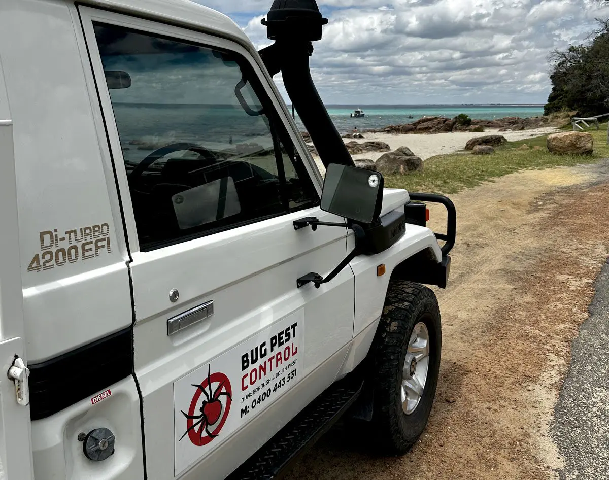 bug pest control dunsborough